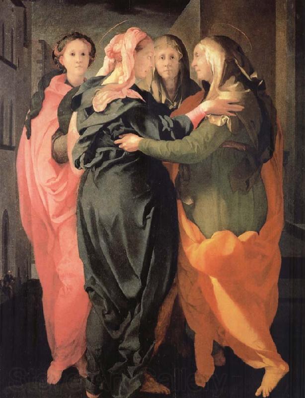 Pontormo, Jacopo The Visitacion France oil painting art